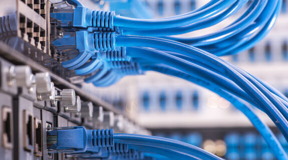 Netzwerkkabel in blauer Farbe, die in einen Netzwerk-Switch eingesteckt sind, zur Datenübertragung.