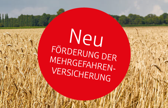 Neues Angebot zur Förderung der Mehrgefahrenversicherung, vor einem Getreidefeld mit leicht bewölktem Himmel.