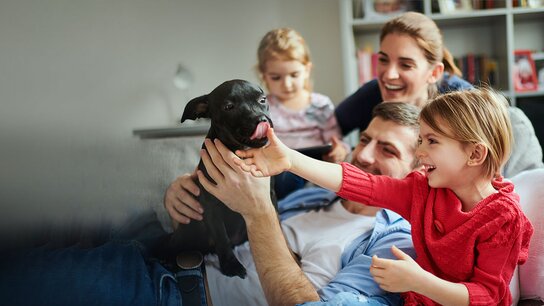Eine Familie spielt und lacht auf dem Sofa, während ein schwarzer Hund begeistert gestreichelt wird.