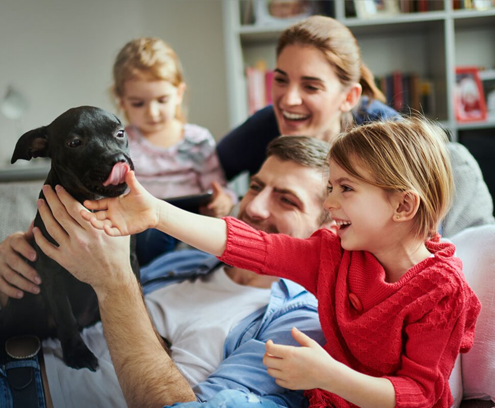 Eine Familie spielt und lacht auf dem Sofa, während ein schwarzer Hund begeistert gestreichelt wird.