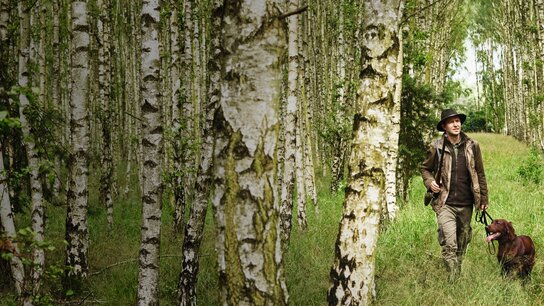 Mann mit Hut geht mit Hund auf einem schmalen Weg durch einen bewaldeten Bereich mit Birken.