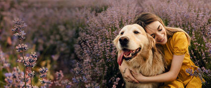 Eine Frau in einem gelben Kleid umarmt glücklich ihren Golden Retriever in einem blühenden Lavendelfeld.