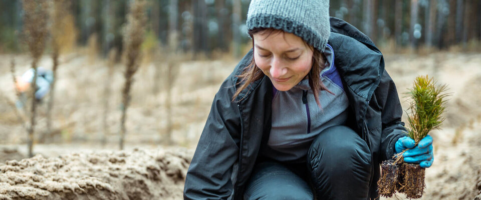Eine Person in warmer Kleidung pflanzt einen Baum in den Boden, umgeben von einem Waldgebiet.