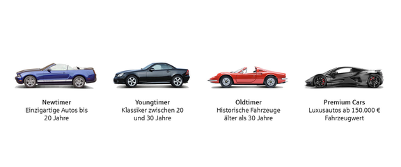 Vierteilung von Fahrzeugen: Newtimer, Youngtimer, Oldtimer und Premium Cars mit jeweiliger Alters- und Wertbeschreibung.