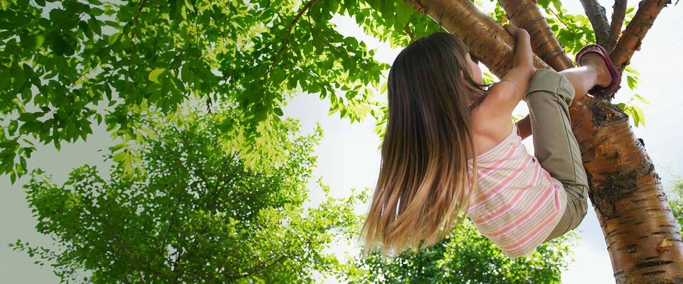 Ein Mädchen mit langen Haaren klettert fröhlich in einem Baum, umgeben von üppigem grünem Laub.