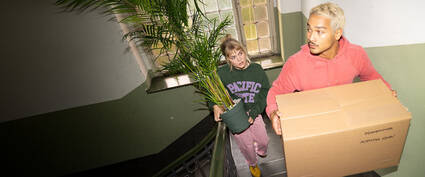 Zwei Personen tragen Umzugsgut die Treppe hinauf, eine mit einer Pflanze, die andere mit einem Karton.