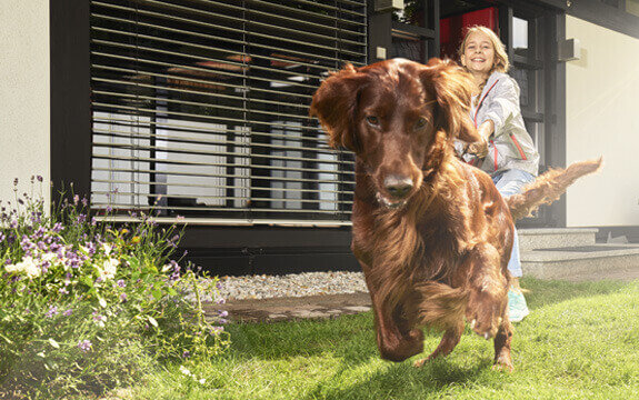 Eine lächelnde Frau zieht einen laufenden roten Retriever über eine grüne Wiese vor einem modernen Haus. Blühende Pflanzen im Vordergrund.