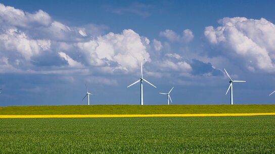Grüne Wiese mit gelber Blumenfläche und mehreren Windkraftanlagen unter einem blauen Himmel mit Wolken.