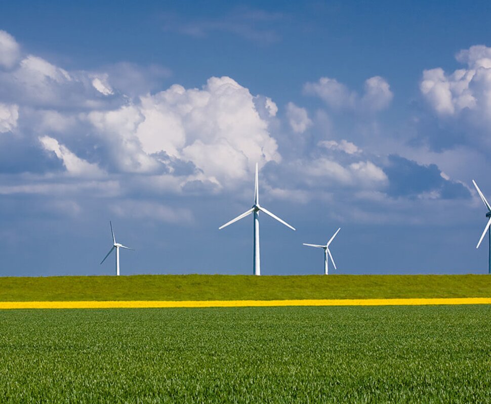Grüne Wiese mit gelber Blumenfläche und mehreren Windkraftanlagen unter einem blauen Himmel mit Wolken.