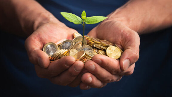 Hände halten Münzen mit einer kleinen Pflanze, die aus der Mitte herauswächst, Symbol für Wachstum und Investition.