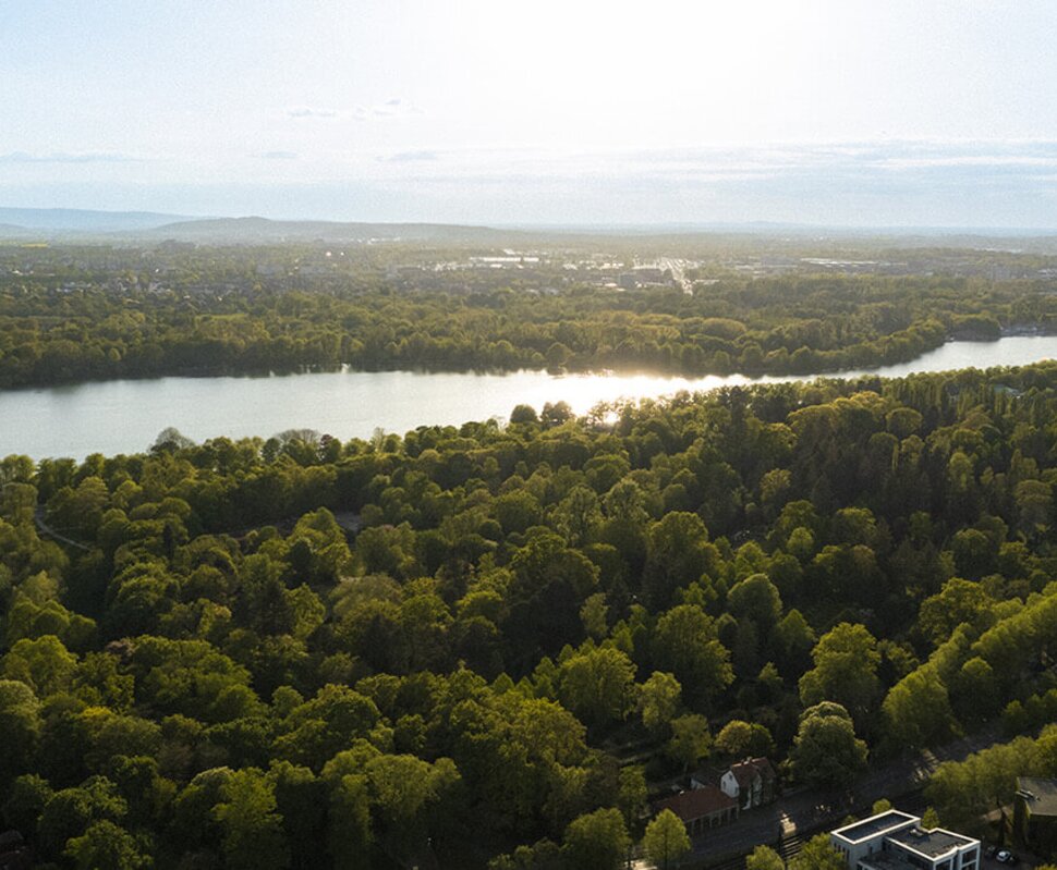 Luftaufnahme eines Flusses, umgeben von üppigem Grün und Häusern, mit Sonnenlicht, das über die Landschaft strahlt.